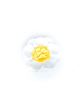 White  3/4 Dahlia Flat/Yellow  