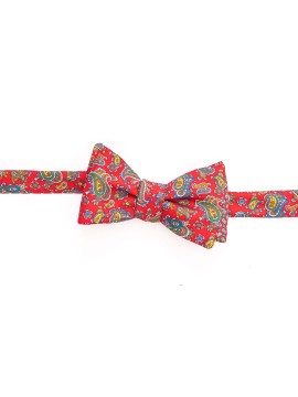 Red Paisley/Neat Reversible Bow