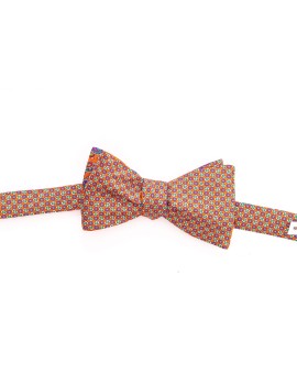 Orange Paisley/Neat Reversible Bow