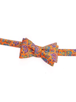 Orange Paisley/Neat Reversible Bow