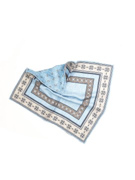 Lt. Blue/Brown Frame Design/Horseshoe Print Reversible Pocket Square