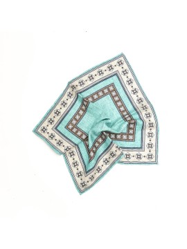 Aqua/Brown Frame Design/Horseshoe Print Reversible Pocket Square